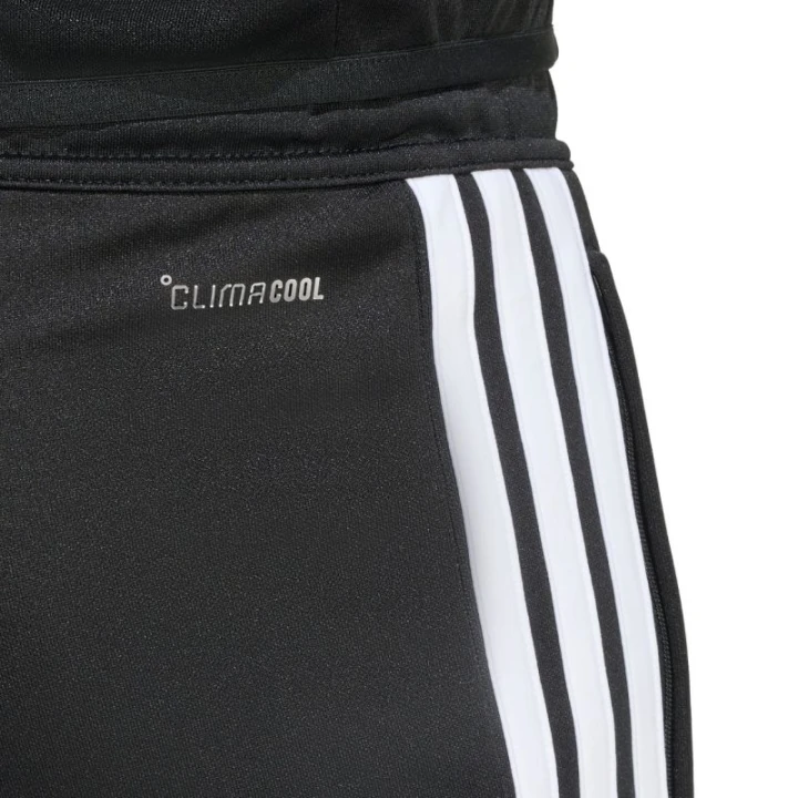 04d0228e76be2683c03b7e60cac50b47
