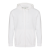 Arctic White
