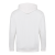 Arctic White